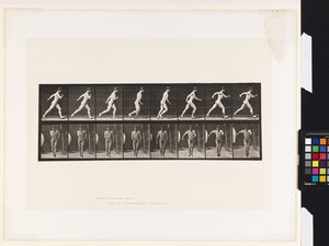 Lauta 4. Kävely tekijältä Eadweard Muybridge