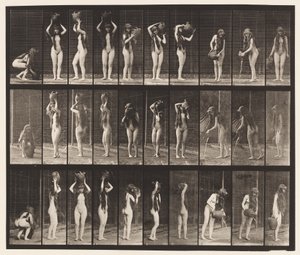 Levy 500. Erilaisia liikkeitä vesipurkilla tekijältä Eadweard Muybridge