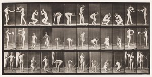 Lauta 501. Muut, kumartuvat, polvistuvat jne. tekijältä Eadweard Muybridge