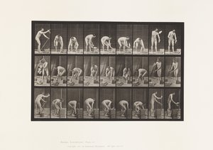 Levy 505. Muuraus tekijältä Eadweard Muybridge