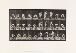 Levy 506. Muuraus tekijältä Eadweard Muybridge