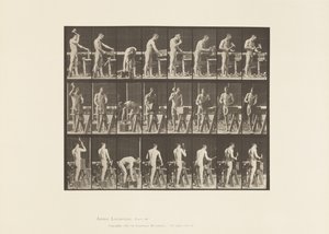 Lauta 507. Puusepäntyöt tekijältä Eadweard Muybridge