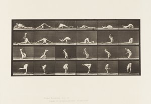 Levy 510. Vääntymät maassa, 1872-1885 tekijältä Eadweard Muybridge
