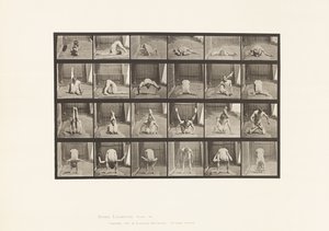 Levy 511. Vääntymät maassa tekijältä Eadweard Muybridge