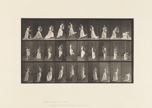 Kilpi 515. Nousevat ja laskevat portaat jne., 1885 tekijältä Eadweard Muybridge