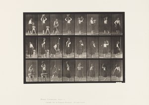 Levy 517. Sekalaiset liikkeet vesipurkilla tekijältä Eadweard Muybridge