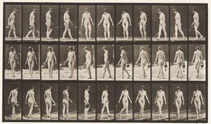 Levy 51. Käveleminen ja kääntyminen sadepotin avulla, 1872-1885 tekijältä Eadweard Muybridge