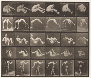 Levy 522. A, 97 Hyppy; B, 98 Handspring; C, 98 salto tekijältä Eadweard Muybridge