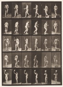 Levy 525. A, laskeva askelma; B, Ascending Step;, 1872-1885 tekijältä Eadweard Muybridge