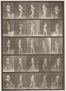 Levy 528. A,B,C tekijältä Eadweard Muybridge