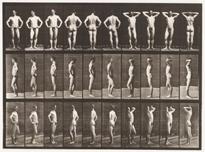Levy 530. Erilaisia asentoja tekijältä Eadweard Muybridge