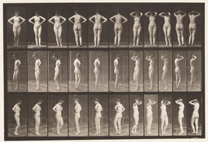 Levy 531. Erilaisia asentoja tekijältä Eadweard Muybridge