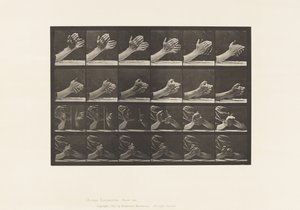 Levy 533. Käden liike; Kädet ristissä, 1885 tekijältä Eadweard Muybridge