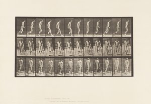 Levy 537. Jalan yksittäinen amputaatio; Hyppy kainalosauvojen kanssa tekijältä Eadweard Muybridge