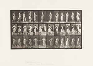 Levy 53. Kävely, kukkien hajottaminen ja kääntyminen tekijältä Eadweard Muybridge