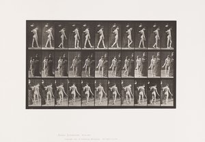 Levy 541. Multippeli aivo-selkäydinskleroosi (Choreic); Kävely tekijältä Eadweard Muybridge
