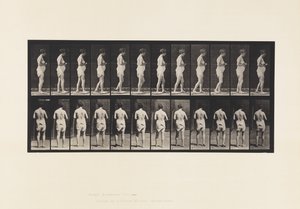 Levy 542. Multippeli aivo-selkäydinskleroosi - kävely tekijältä Eadweard Muybridge
