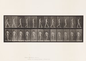 Levy 546. Liikunta-ataksia; Kävely, 1885 tekijältä Eadweard Muybridge