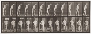 Levy 547. Hemiplegia; Kävely kainalosauvojen kanssa, 1885 tekijältä Eadweard Muybridge