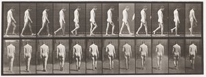 Levy 549. Epilepsia; Kävely, 1885 tekijältä Eadweard Muybridge