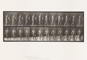 Levy 552. Hemiplegia; Kävelemässä kepin kanssa, 1885 tekijältä Eadweard Muybridge