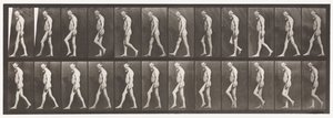 Levy 555. Jalkojen lihasatrofia; Aikuinen, A,B, Kävely, 1885 tekijältä Eadweard Muybridge