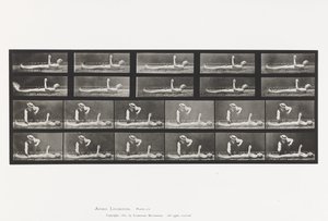 Levy 556. Paikallinen korea; A, B, Makaa tekijältä Eadweard Muybridge