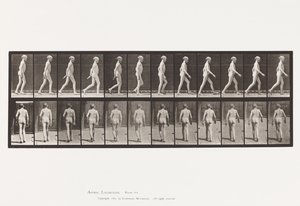 Levy 562. Selkärangan lateraalinen kaarevuus; Kävely tekijältä Eadweard Muybridge