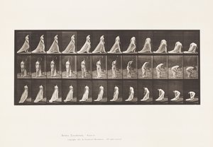 Kilpi 56. Kävely, kääntyminen ja kumartuminen junan nostamiseksi tekijältä Eadweard Muybridge