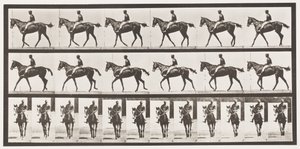 Lauta 580. Kävely; Satula; Täysverinen Bay Mare Annie G., 1885 tekijältä Eadweard Muybridge