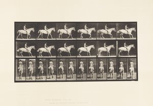 Levy 582. Kävely;Satula; Rider, 43, alaston; Vaaleanharmaa Horse Smith tekijältä Eadweard Muybridge
