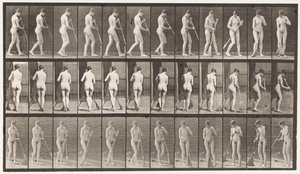 Levy 58. Kävely, kääntyminen lattiaa lakaisemassa tekijältä Eadweard Muybridge