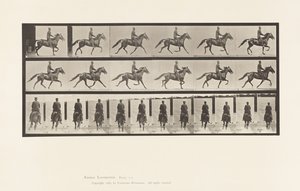 Levy 592. Keinu (vauhti): Satula; Brown Horse Pronto tekijältä Eadweard Muybridge