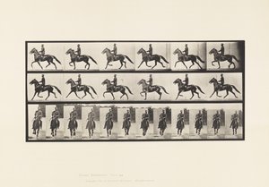 Levy 593. Keinu (vauhti): Satula; Brown Horse Pronto tekijältä Eadweard Muybridge