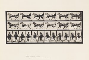 Levy 595. Keinu (tahdistus): Sulky; Brown Horse Pronto tekijältä Eadweard Muybridge
