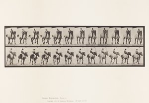 Levy 600. Ravi; Ilman satulaa; Tummanharmaa Dusel tekijältä Eadweard Muybridge