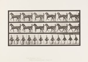 Levy 612. Ravi; Sulky; Bay Horse, Dereumd tekijältä Eadweard Muybridge