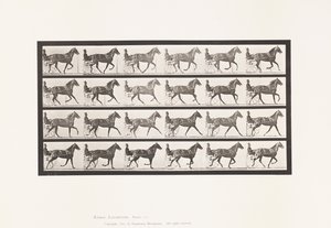 Levy 614. Ravi; Breaking to Gallop; Sorrel Mare Flode Holden tekijältä Eadweard Muybridge