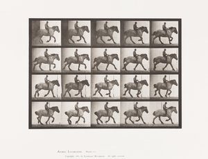 Levy 615. Laukka: Bareback; Tummanharmaa belgialainen hevoshanseli tekijältä Eadweard Muybridge