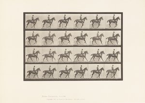 Levy 616. Laukka; Satula; Bay Horse Daisy tekijältä Eadweard Muybridge