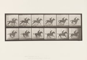 Lauta 624. Laukka; Satula; Bay Horse Daisy tekijältä Eadweard Muybridge