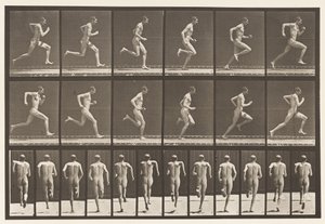 Levy 62. Käynnissä täydellä nopeudella., 1872-1885 tekijältä Eadweard Muybridge