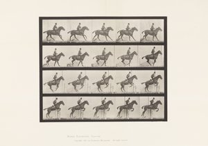 Levy 636. Esteen hyppy; Satula; Valmistautuminen hyppyyn tekijältä Eadweard Muybridge