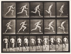 Levy 63. Käynti täydellä nopeudella. tekijältä Eadweard Muybridge