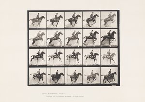 Levy 640. Esteen hyppy; Satula; Bay Horse Daisy tekijältä Eadweard Muybridge