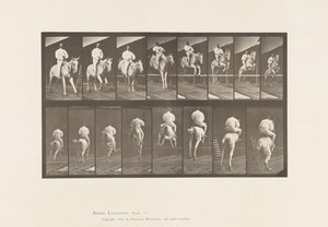 Levy 644. Esteen hyppy; Satula; Raivaus ja laskeutuminen tekijältä Eadweard Muybridge