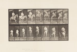 Levy 645. Esteen hyppy; Satula; Raivaus ja laskeutuminen tekijältä Eadweard Muybridge