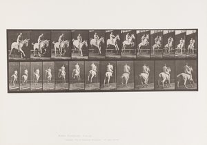 Levy 647. Esteen hyppy; Ilman satulaa; Ratsastaja tekijältä Eadweard Muybridge