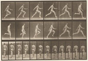 Levy 64. Käynti täydellä nopeudella tekijältä Eadweard Muybridge