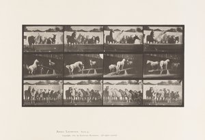 Levy 651.A, kellonsoitto; B, Teeter Board; C, sotilasharjoitus tekijältä Eadweard Muybridge